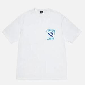 Stussy x David Carson Do Your Thang T Shirt in White